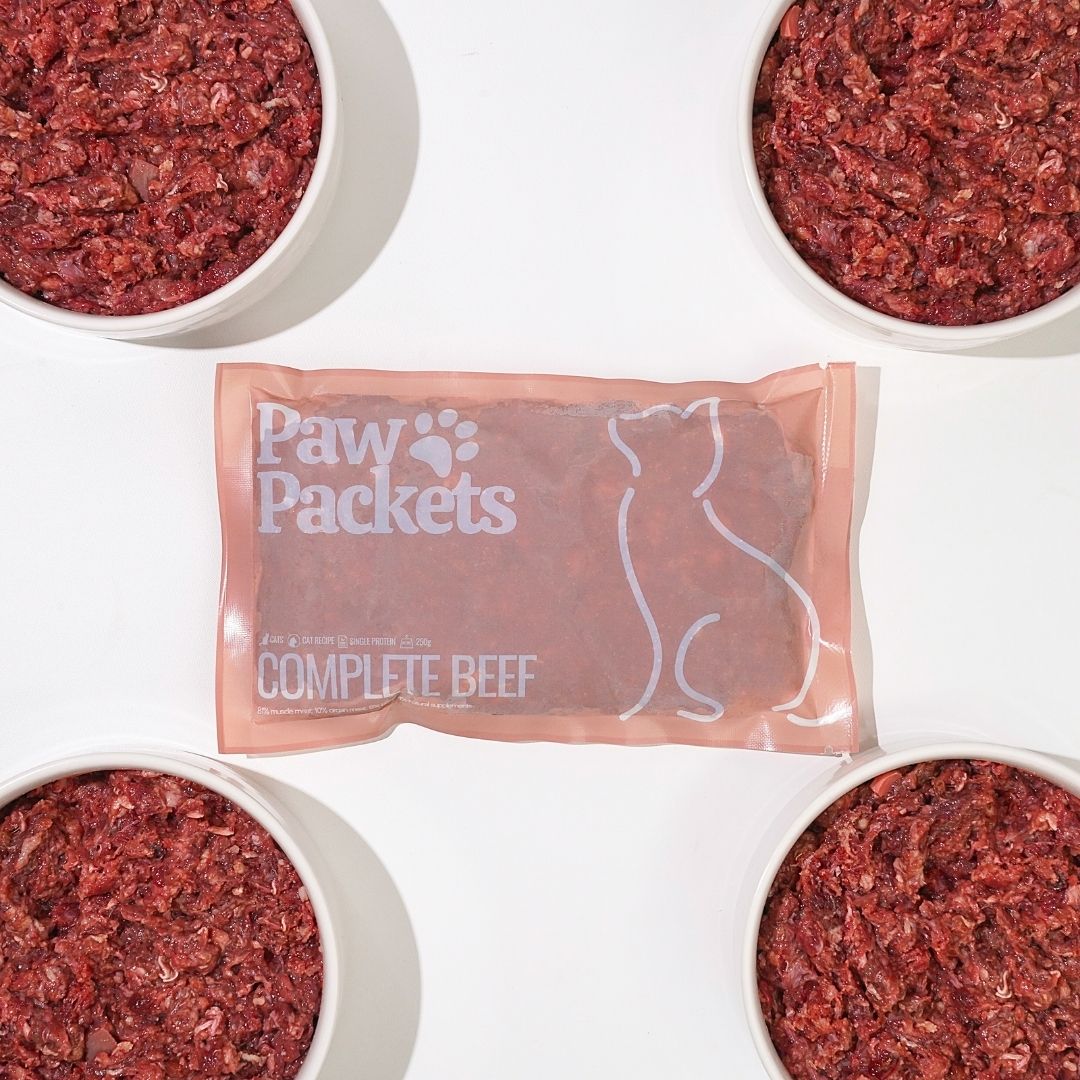 Paw Packets makanan kucing raw food beef sapi