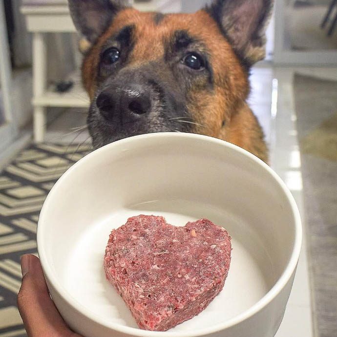 Paw Packets raw food makanan anjing