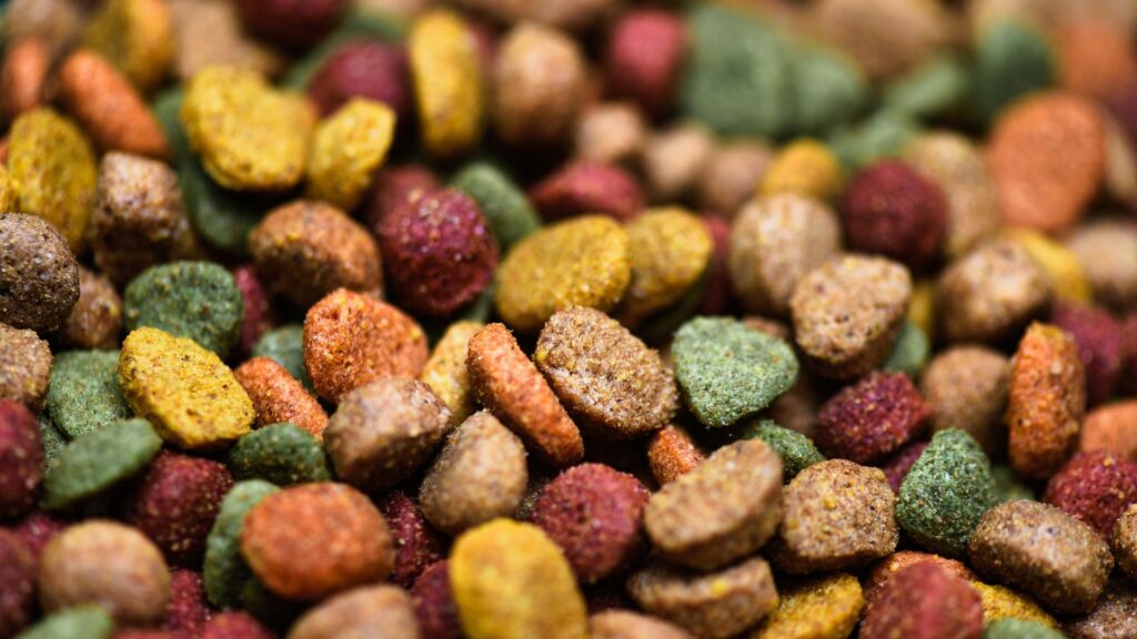 apa itu kibble dan raw food