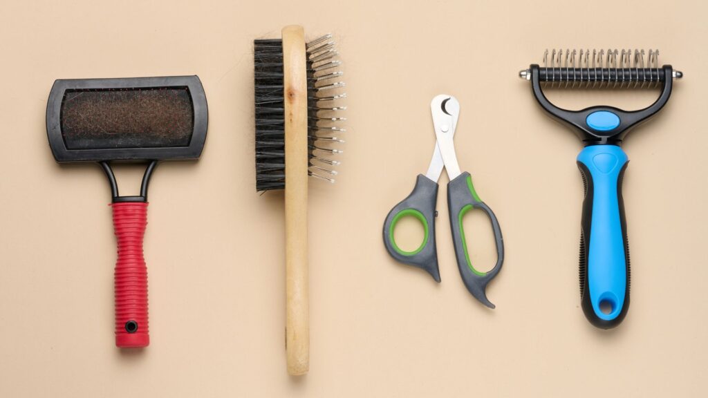 jenis sisir yang tepat untuk kucing