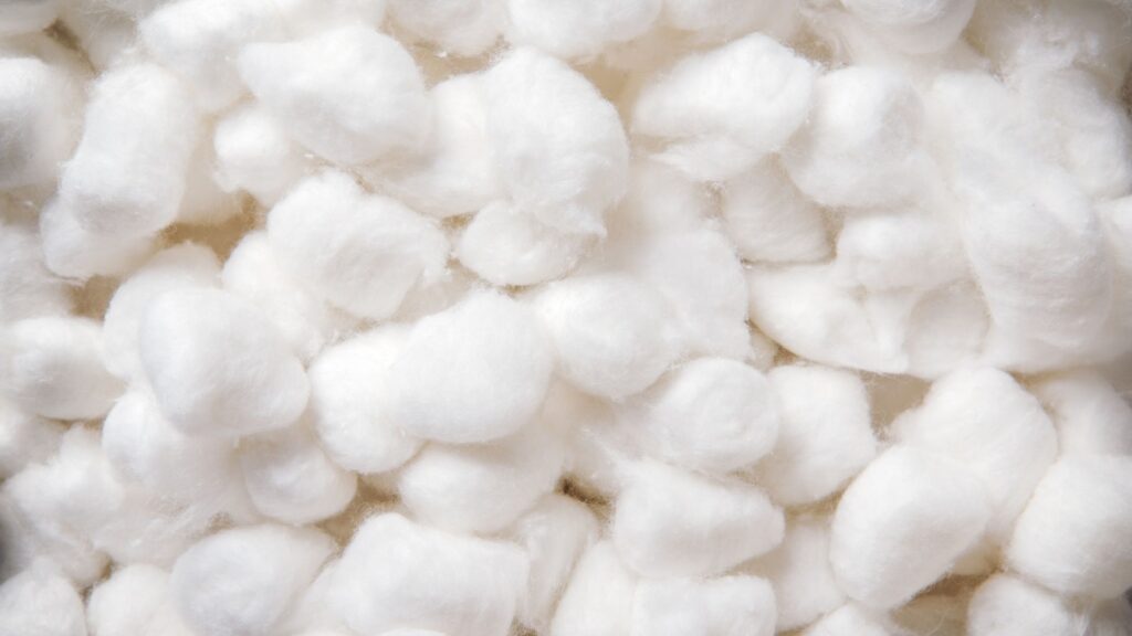 persiapan sebelum membersihkan telinga anjing