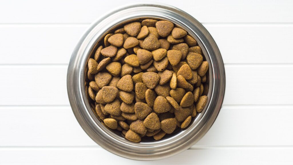kelebihan dan kekurangan kibble (makanan kering/dry food) untuk anjing