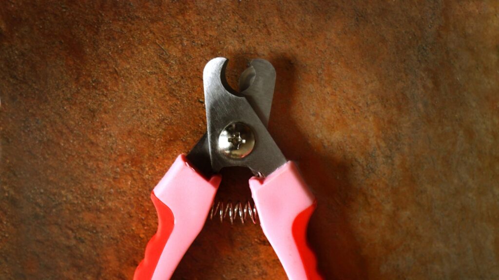 peralatan yang dibutuhkan untuk menggunting kuku anjing