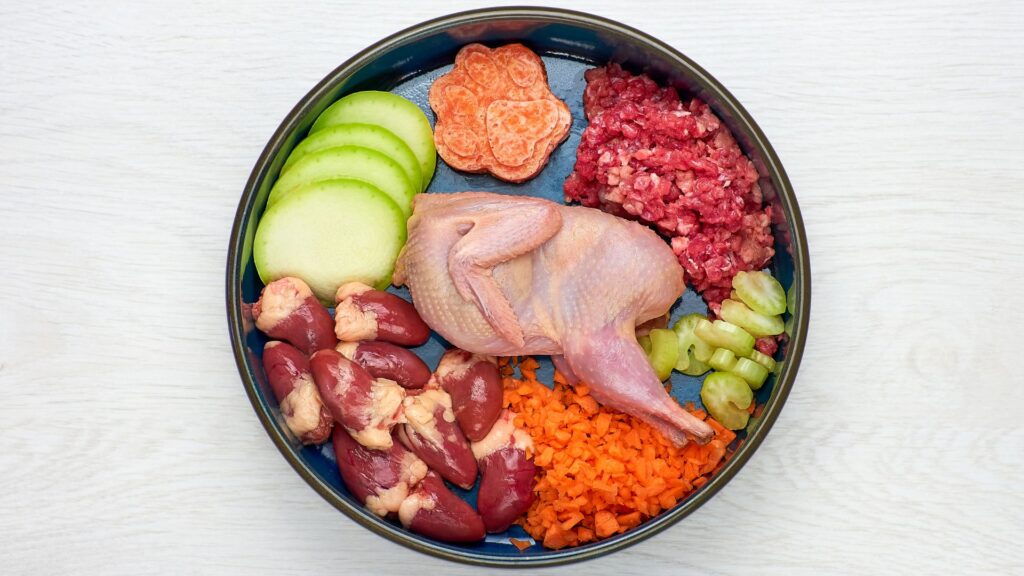 kelebihan dan kekurangan raw food (makanan mentah) untuk anjing