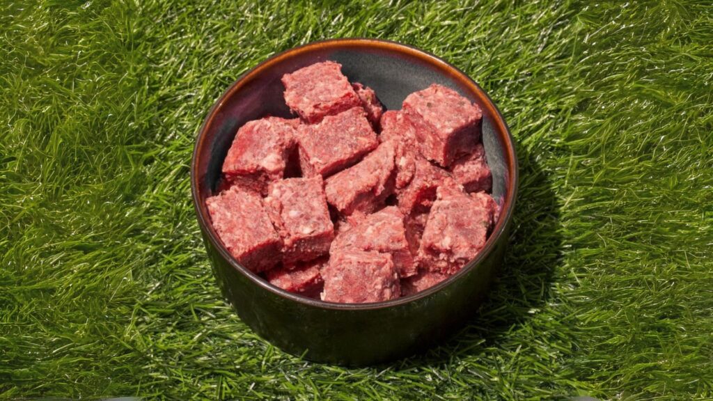 kekurangan raw food untuk anjing dan kucing