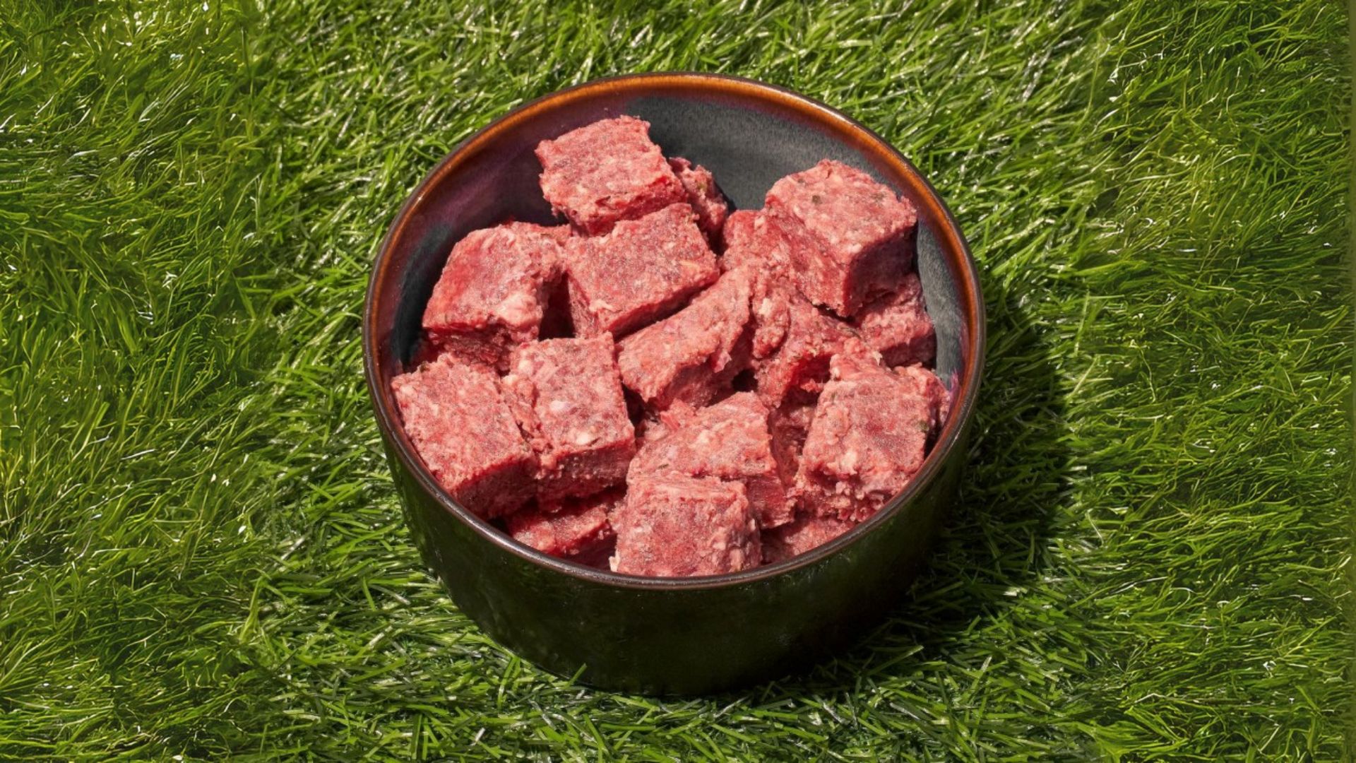 paw packets manfaat makanan raw food untuk anjing 1