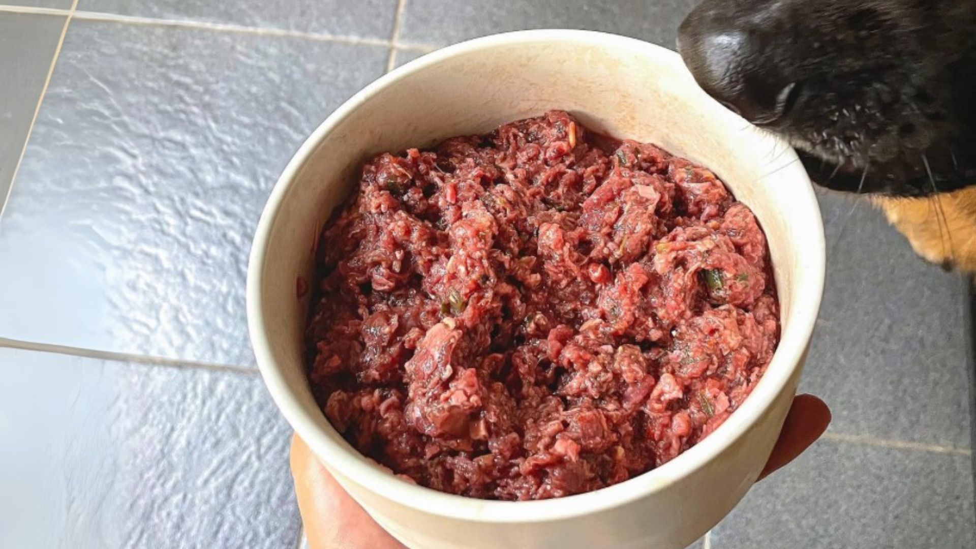 paw packets manfaat makanan raw food untuk anjing 6